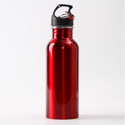 Classic Single Wall Stainless Steel Water Bottle with Leak Proof